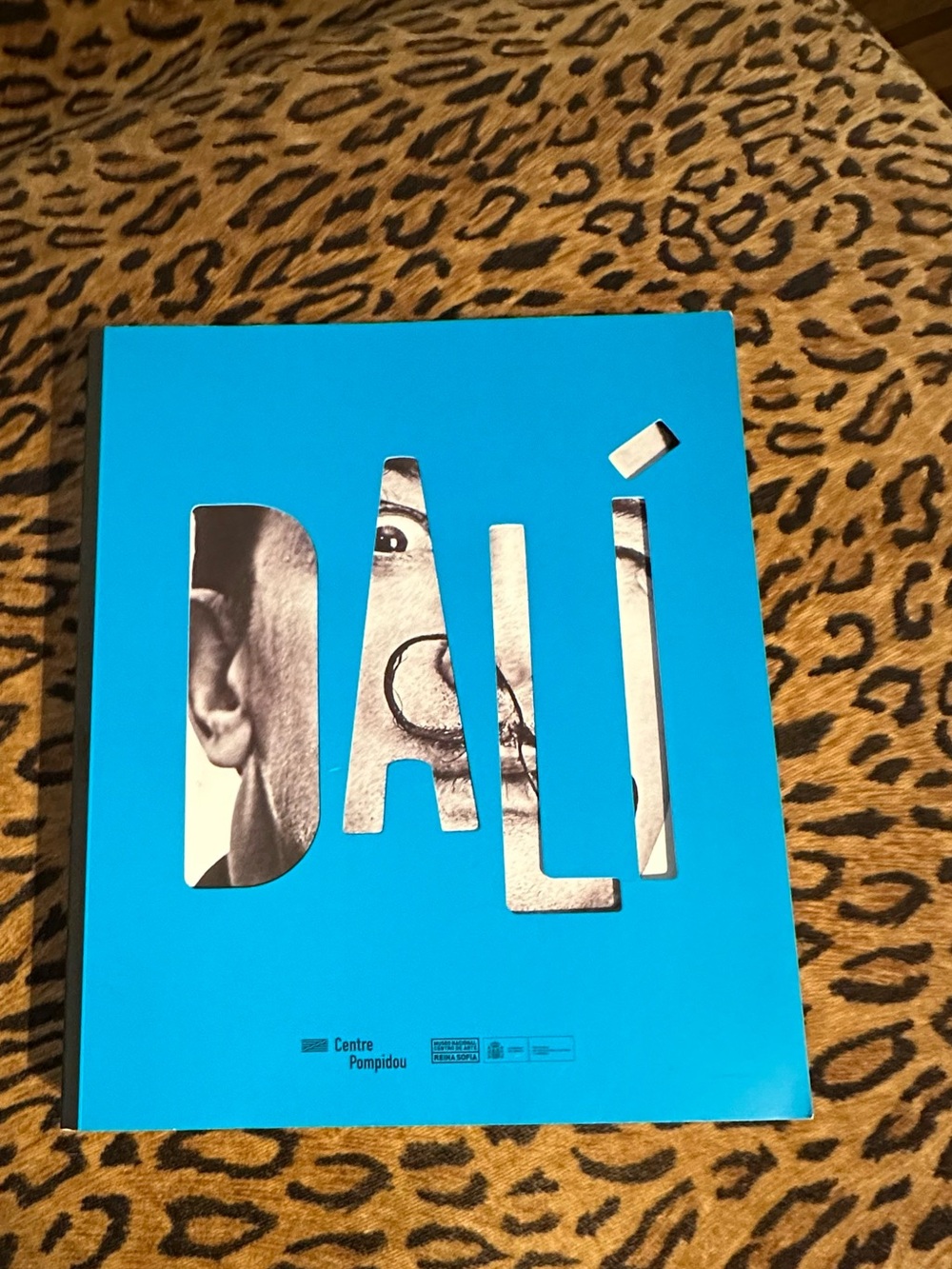 DALI Exhibition Book — Vibrant Teal Cover